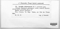 Image Associated With the Occurence